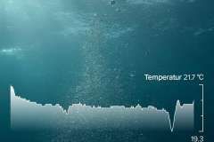 2020_06_20_Tauchgrafik