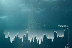 2020_06_24_Tauchgrafik